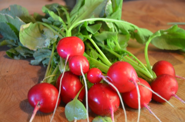 Roasted radishes recipe