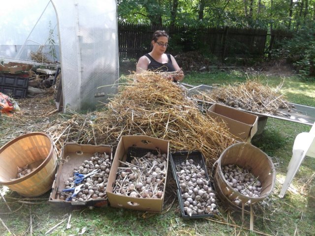 546625_10150979317916583_1821878829_n