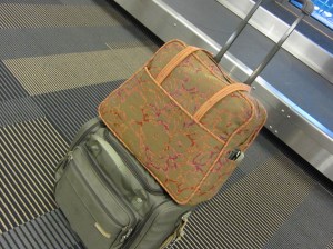 My Amy Butler carry on