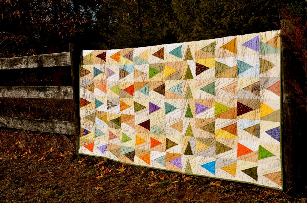 Leave a Trail quilt by Sewfrench