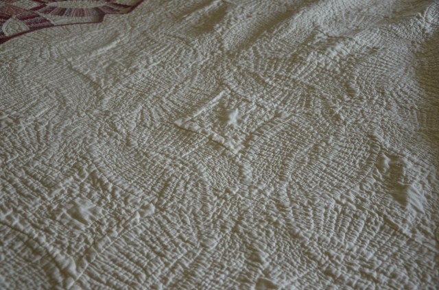 Double Wedding Ring quilt Muslin back quilt