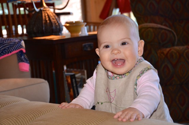 embroidery bird dress